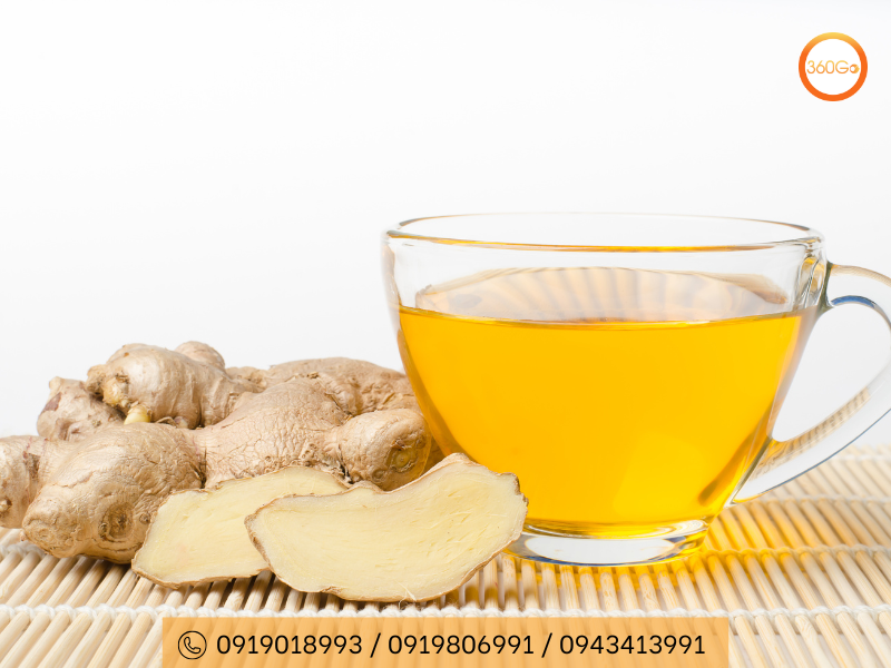 Gừng có tác dụng làm dịu dạ dày, hỗ trợ giảm say xe hiệu quả - Du lịch 360Go